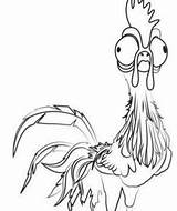 Moana Hei Coloring Pages Heihei Maui Disney Princess Rooster Coloringpagesonly sketch template