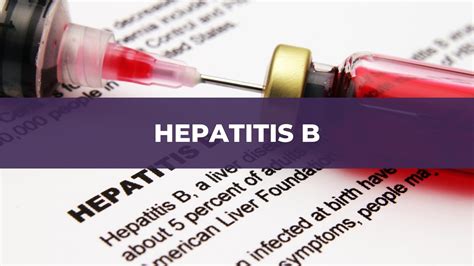 Hepatitis B Mthfr Support Australia