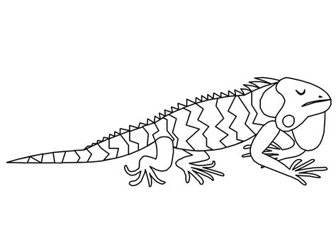 iguana  animals  printable coloring pages