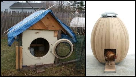 alternative chicken coop ideas diy projects