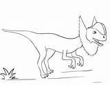 Dilophosaurus sketch template