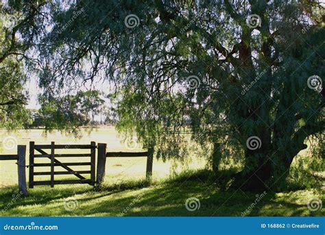 country gate stock photography image