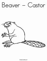 Coloring Beaver Castor Favorites Login Add sketch template