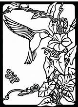 Hummingbird Coloring Pages Print Printable Color Adults Adult Hummingbirds Stained Glass Nature Book Patterns Drawing Photobucket Bird Birds Morning Windows sketch template