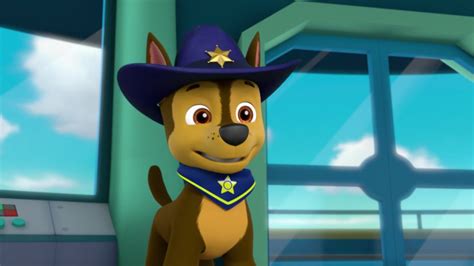 pups save  corn roasttrivia paw patrol wiki fandom