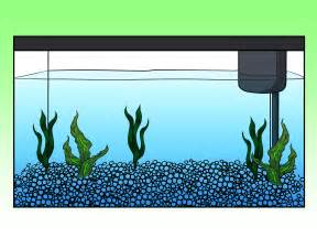 How to Draw a Fish Tank: 11 Steps (with Pictures) wikiHow