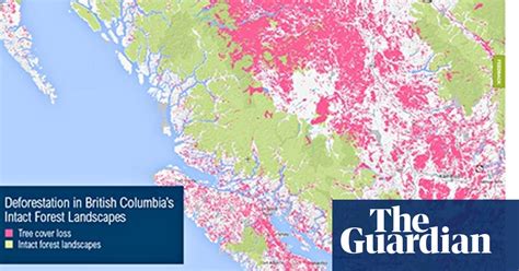 tracking deforestation as it happens guardian