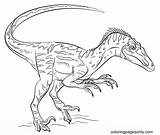Jurassic Velociraptor sketch template