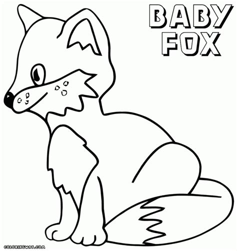 baby fox coloring pages  print abn