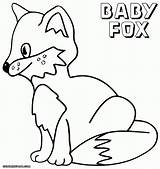 Fox Baby Coloring Pages Print Template Rooster Fancy Popular sketch template