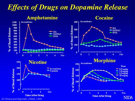 levels of dopamine that you get from food sex and drugs