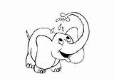 Coloring Pages Elephant Baby Cute Kids Labels Animal sketch template