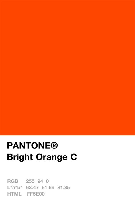 pin  amelia  textures pantone urban setting orange