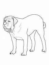Mastiff Coloring English Pages Dog Printable Colouring Puppy Dogs Supercoloring sketch template
