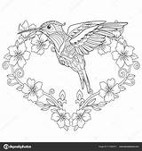 Hummingbird Zentangle sketch template