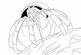 Hermit Crab Coloring Pages Printable Kids sketch template
