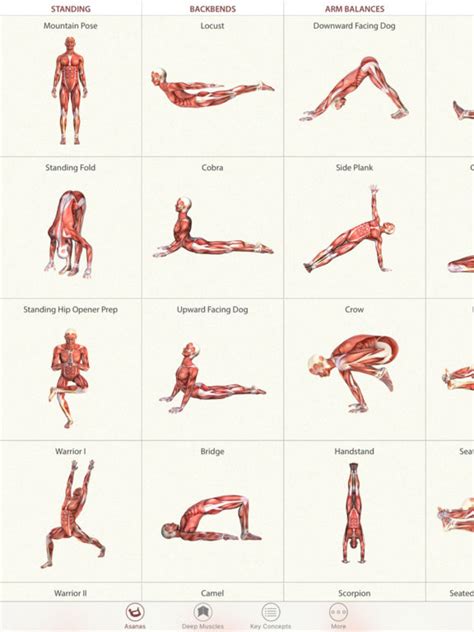 app shopper  yoga anatomy healthcare fitness