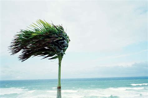 wind blows mapping  wildest gusts  scientist