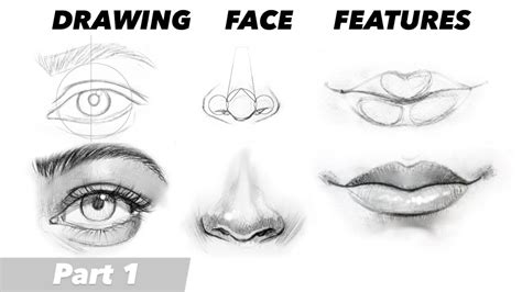 draw eyes nose lips ears part  front view youtube