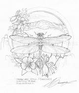 Bergsma Dragonfly Pages sketch template