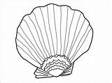 Shell Seashell Clam Urchin Pintable Coloringbay Albatross Template sketch template
