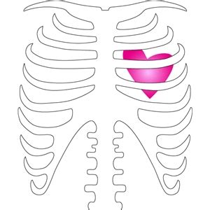 silhouette design store view design  skeleton rib cage