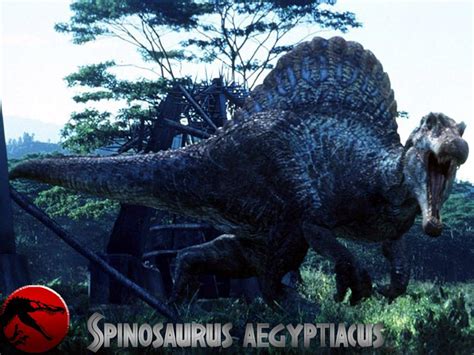 dino dinosaurs photo  fanpop
