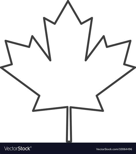 canadian maple leaf sketch  paintingvalleycom explore collection