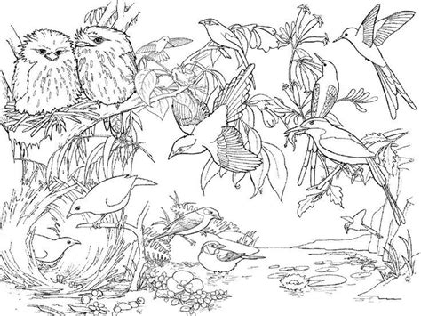 jungle birds coloring page bird coloring pages coloring pages