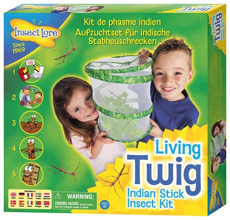 review  insect lore living twig indian stick insect kit
