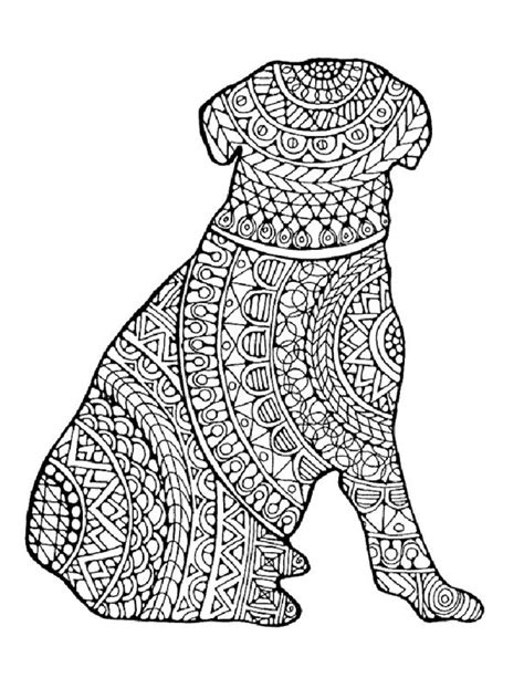 animal coloring pages  adults  gif colorist