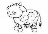 Kuh Mucca Koe Kleurplaat Malvorlage Vaca Cow Stall Artigianato Schoolplaten Schulbilder Stampare Herunterladen Educolor Descargar sketch template