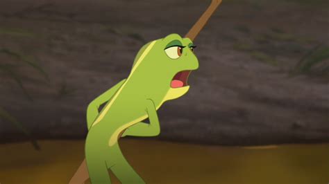 the princess and the frog disney image 25447738 fanpop