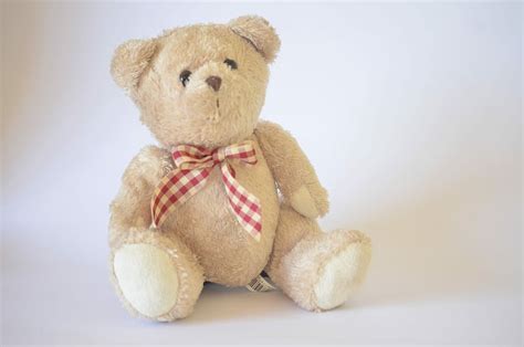 brown bear plush teddy bear toy cute childhood child teddy