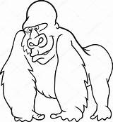 Gorilla Coloring Clipart Pages Book Illustration Stock Vector Animals Color Cartoon Izakowski sketch template