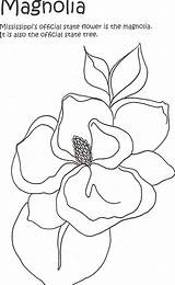 Getcolorings Watercolor Imagixs Magnolias sketch template