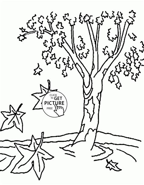 fall tree coloring pictures franklin morrisons coloring pages