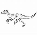 Velociraptor Stampare Dinosauri sketch template