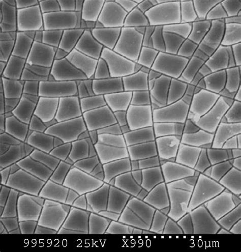 sem micrograph   black chromate conversion coating  zinc iron  scientific