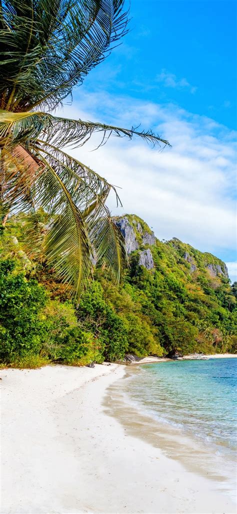 wallpaper philippines beach sea palm trees blue sky