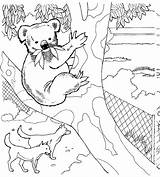 Koala Kleurplaten Beertjes Kleurplaat Dierentuin sketch template