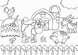 Farms Barnyard Everfreecoloring Fazenda Learny Pintarcolorir sketch template