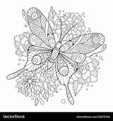Coloring Adults Butterfly Book Vector Royalty sketch template