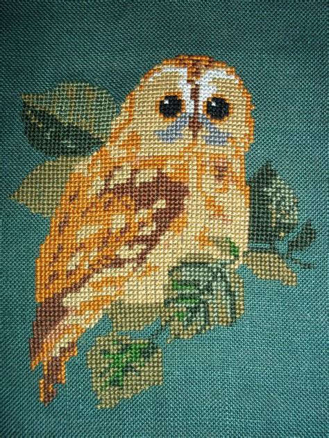 owl cross stitch   pattern   boom   charity shop