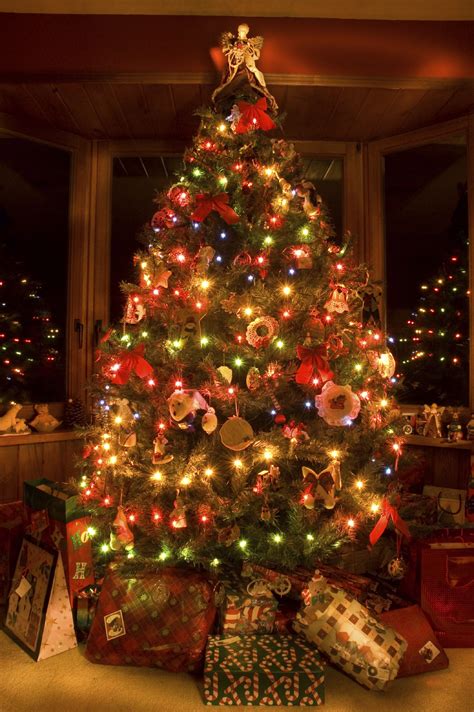 awesome  dazzling christmas tree lights ideas awesome