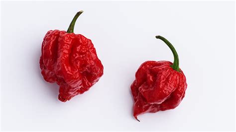 chili grower defends world s hottest pepper after man who ate one was