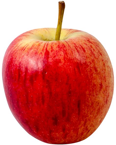 apple fruit transparent image hq png image freepngimg