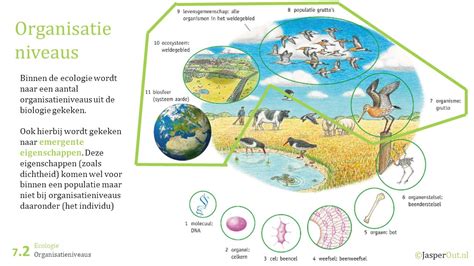 organismen en hun omgeving schouten biology