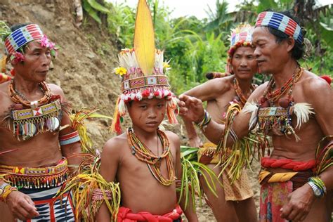 suku pedalaman indonesia   terasing  nyaris punah