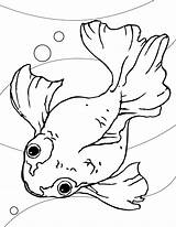 Goldfish Kolorowanki Ikan Mewarnai Dourado Peixe Peces Ryby Colorir Dzieci Pez Rybki Fishes Animales Lomba Coloringme Lele Terkeren Oscars Clip sketch template